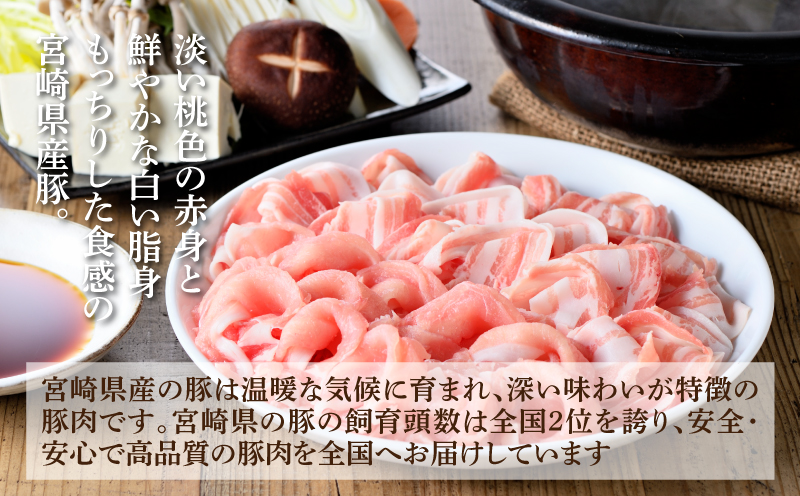 豚肉 詰め合わせ3.2㎏ K18_0040_4