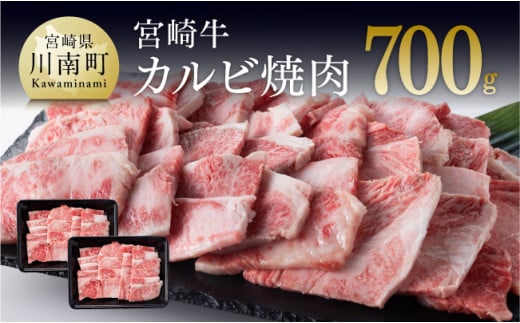 【令和6年11月発送】宮崎牛 カルビ 焼肉 700g (350g×2) 選べる発送月 肉 牛 牛肉 黒毛和牛 BBQ