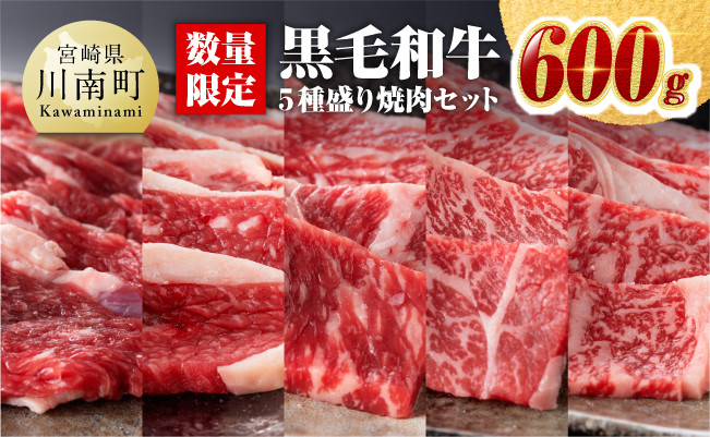 【令和6年10月発送】黒毛和牛5種盛り 焼肉セット（数量限定）600g 【 肉 牛肉 国産 宮崎県産 黒毛和牛 ミヤチク BBQ バーベキュー 送料無料 】