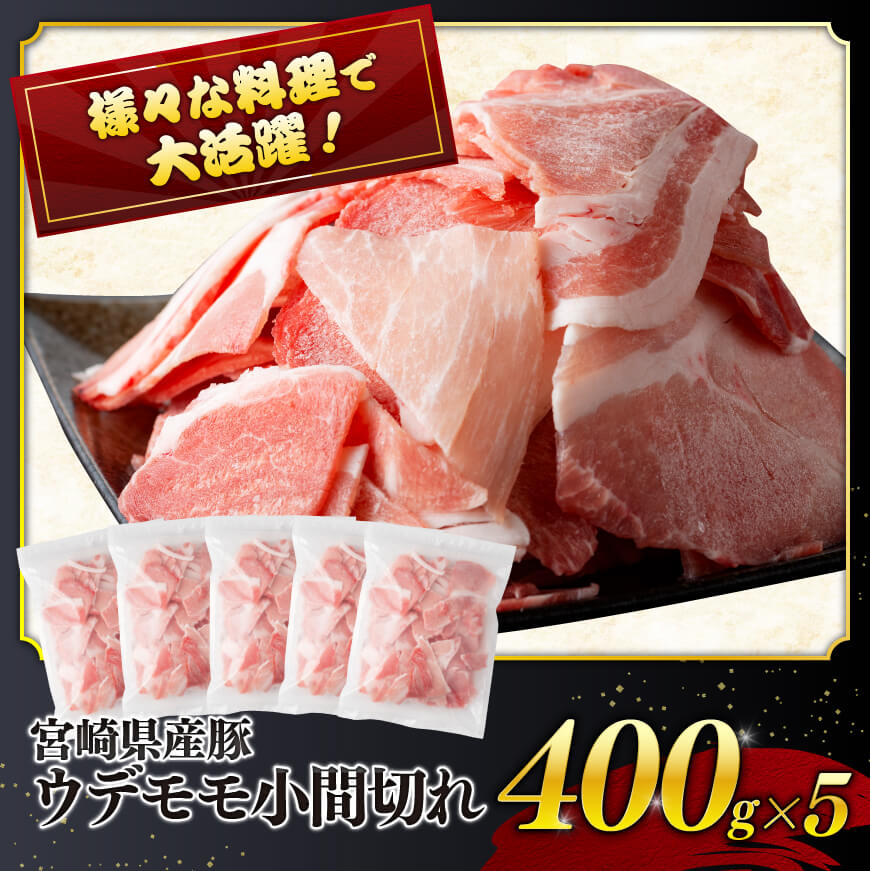 【11月発送分】宮崎県産豚肉６種　4.1kg