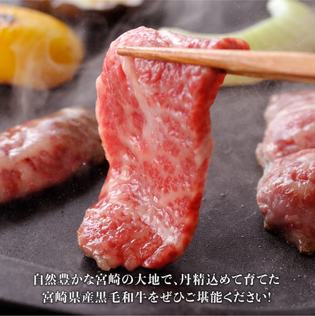 【令和6年11月発送】黒毛和牛5種盛り 焼肉セット（数量限定）600g 【 肉 牛肉 国産 宮崎県産 黒毛和牛 ミヤチク BBQ バーベキュー 送料無料 】