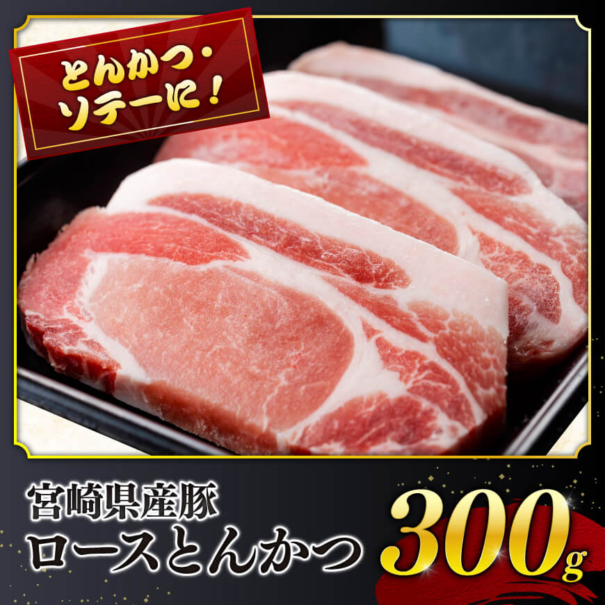 【令和7年7月発送分】宮崎県産豚肉６種　4.1kg