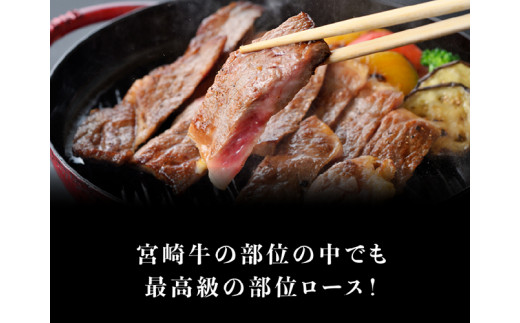 【令和6年11月発送分】 宮崎牛 ロース ステーキ ２５０ｇ×2枚 選べる発送月 肉 牛肉 ステーキ 黒毛和牛 【 肉 牛肉 贅沢 国産 国産牛 4等級 5等級 九州産 宮崎県産 黒毛和牛 和牛 ロース ステーキ 川南町 】