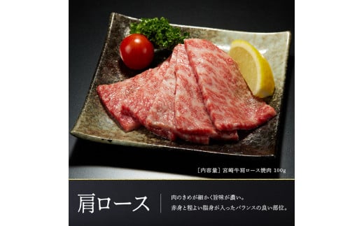 【令和6年10月発送】 宮崎牛 焼肉 ６種食べ比べセット 選べる発送月 肉 牛 牛肉 国産 黒毛和牛 BBQ