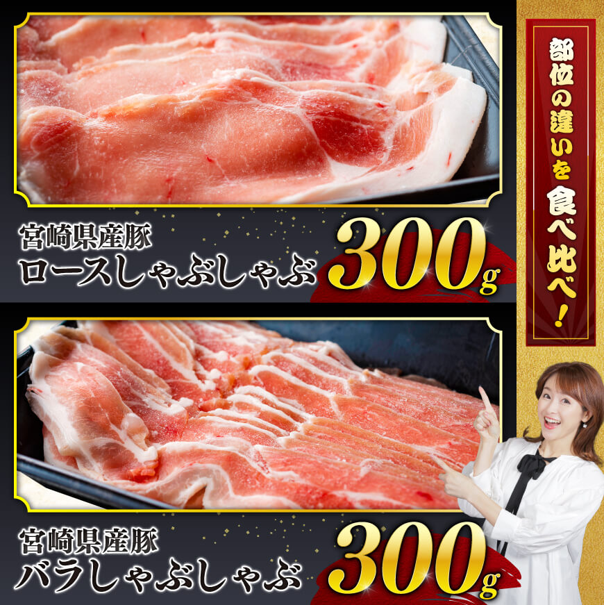 【令和7年7月発送分】宮崎県産豚肉６種　4.1kg