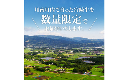 ※令和6年10月発送※【川南町産】宮崎牛赤身（モモ）すきしゃぶ500g【牛肉 宮崎県産 九州産 牛 A5 5等級 肉】