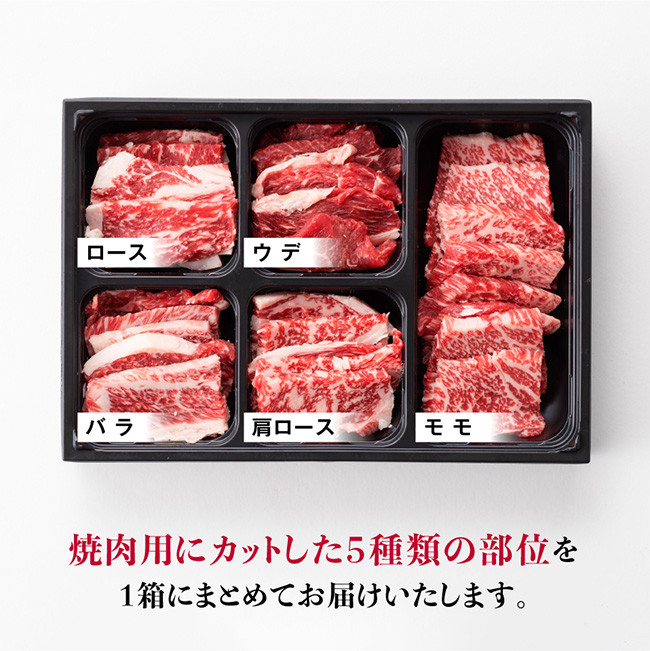 【令和6年10月発送】黒毛和牛5種盛り 焼肉セット（数量限定）300g 【 肉 牛肉 国産 宮崎県産 黒毛和牛 ミヤチク BBQ バーベキュー 送料無料 】