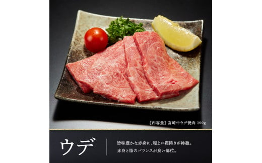 【令和6年11月発送】 宮崎牛 焼肉 ６種食べ比べセット 選べる発送月 肉 牛 牛肉 国産 黒毛和牛 BBQ