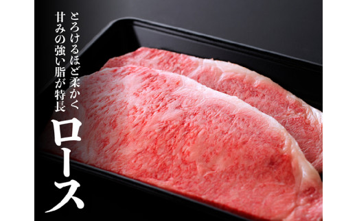 【令和6年10月発送分】 宮崎牛 ロース ステーキ ２５０ｇ×2枚 選べる発送月 肉 牛肉 ステーキ 黒毛和牛 【 肉 牛肉 贅沢 国産 国産牛 4等級 5等級 九州産 宮崎県産 黒毛和牛 和牛 ロース ステーキ 川南町 】