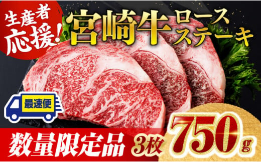 《数量限定》宮崎牛ロースステーキ3枚 (750g)【 肉 牛肉 宮崎県産 黒毛和牛ミヤチク】