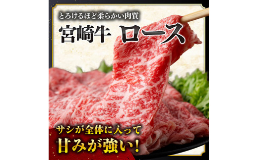 【数量限定】宮崎牛ロース焼きしゃぶ600g【 肉 牛 牛肉 国産 黒毛和牛 すき焼き 焼きしゃぶ すきしゃぶ】