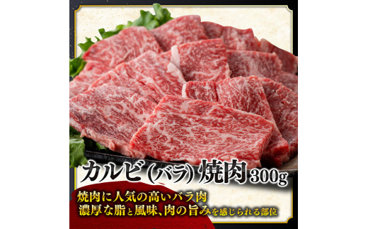 宮崎牛６種 詰め合わせ 1.7kg 【 肉 牛肉 宮崎牛 黒毛和牛 ロースステーキ ウデ 肩ロース チマキ ネック カルビ 焼肉 ミヤチク 】