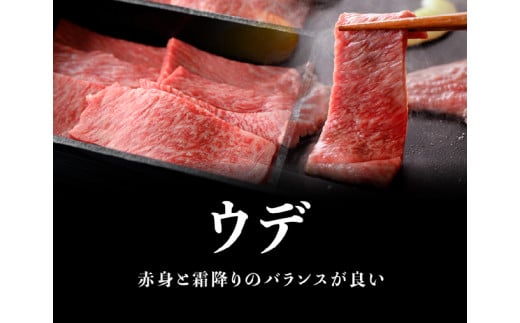 宮崎牛 焼肉セット 400g 4大会連続日本一 肉 牛肉 国産 黒毛和牛 肉質等級4等級以上 4等級 5等級 ミヤチク カルビ ウデ モモ カタロース BBQ バーベキュー 