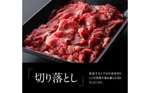 宮崎県産黒毛和牛切り落とし1.2kg 肉 牛肉 国産 九州産 宮崎県産 黒毛和牛 すき焼き 肉じゃが 鍋 