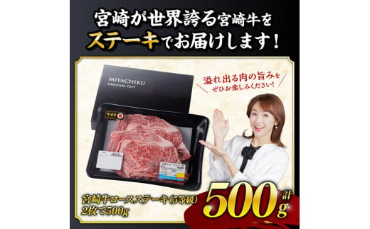 ５等級！宮崎牛ロースステーキ500g 肉 牛 牛肉 国産 黒毛和牛 