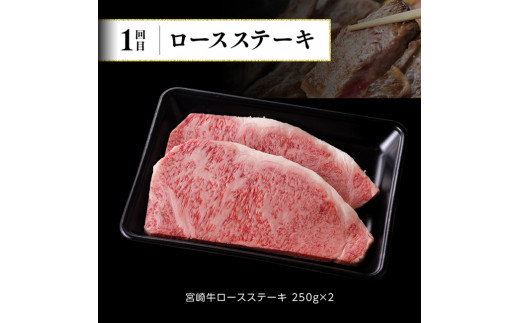 【6ヶ月定期便】 宮崎牛 定期便Ｂ 【 4大会連続日本一 肉 牛肉 国産 黒毛和牛 肉質等級4等級以上 4等級 5等級 ミヤチク ステーキ 焼肉 全6回 定期便 】