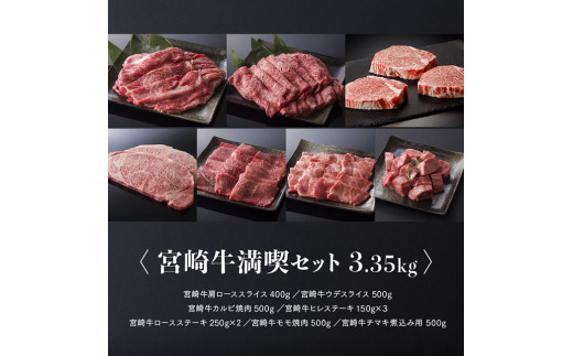 豪華！宮崎牛 満喫セット 3.3kg以上 4大会連続日本一 肉 牛肉 国産 黒毛和牛 肉質等級4等級以上 4等級 5等級 ミヤチク ステーキ スライス 焼肉 すき焼き 煮込み 