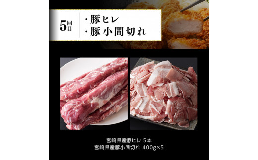 【定期便】宮崎牛と宮崎県産豚６ヶ月定期便Ｃ 【 4大会連続日本一 肉 牛肉 豚肉 国産 黒毛和牛 肉質等級4等級以上 5等級 ミヤチク ステーキ 焼肉 しゃぶしゃぶ 全6回 】