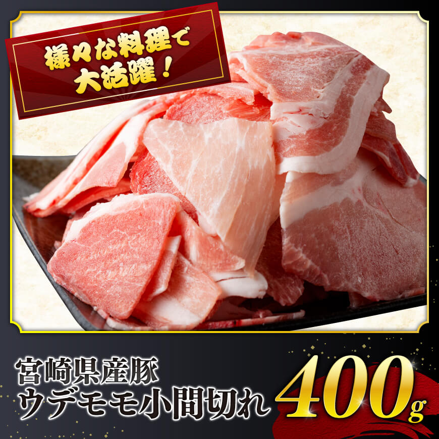 宮崎県産豚肉６種　1.9kg
