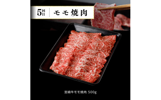 【6ヶ月定期便】 宮崎牛 定期便Ｂ 【 4大会連続日本一 肉 牛肉 国産 黒毛和牛 肉質等級4等級以上 4等級 5等級 ミヤチク ステーキ 焼肉 全6回 定期便 】