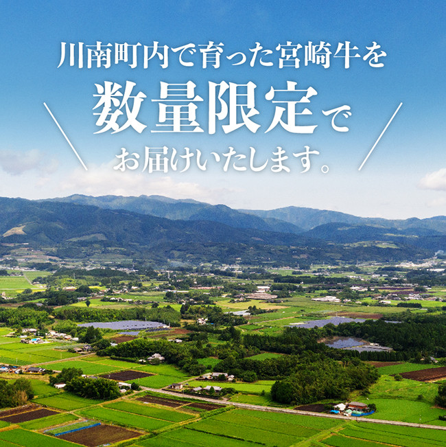 ※数量限定※【川南町産】宮崎牛ヒレステーキ300g【牛肉 宮崎県産 九州産 牛 A5 5等級 肉】