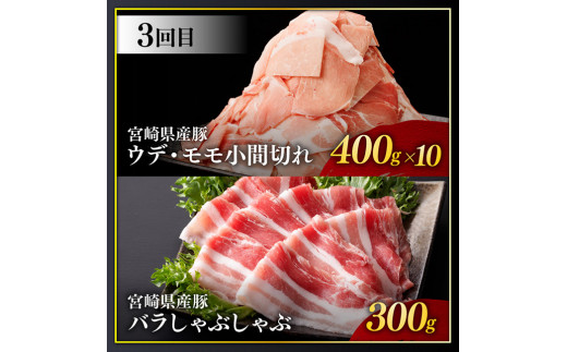 【訳あり定期便】宮崎県産豚肉 お楽しみセット6ヶ月定期便【 ロース とんかつ 豚バラ しゃぶしゃぶ 生姜焼き 小間切れ 豚 肉 豚肉 ミヤチク 全6回 】