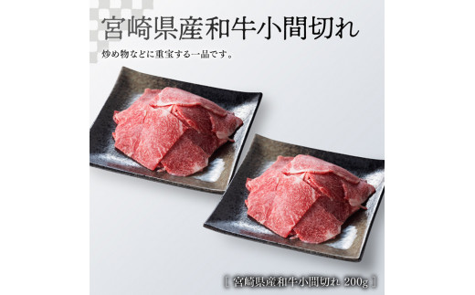 【新型コロナ被害支援】《生産者支援品》宮崎牛ロースステーキ 500g (宮崎県産和牛こま切れ付き) 計700g 【 ミヤチク 牛肉 黒毛和牛 サーロイン 国産 宮崎県産 緊急支援品 訳あり】