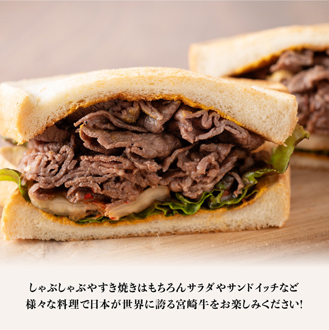 宮崎牛スライス 500g 【肉 牛肉 国産 宮崎県産 黒毛和牛 ミヤチク すき焼き しゃぶしゃぶ  送料無料 】
