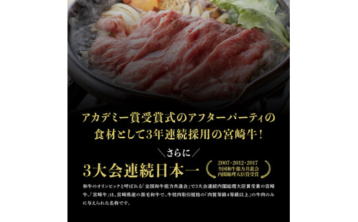 【6ヶ月定期便】 宮崎牛 定期便A 【 4大会連続日本一 肉 牛肉 国産 黒毛和牛 肉質等級4等級以上 4等級 5等級 ミヤチク ステーキ 焼肉 全6回 定期便 】