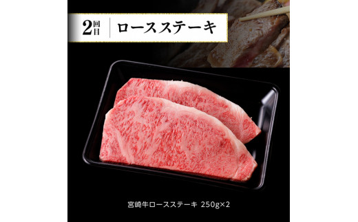 【6ヶ月定期便】 宮崎牛 定期便A 【 4大会連続日本一 肉 牛肉 国産 黒毛和牛 肉質等級4等級以上 4等級 5等級 ミヤチク ステーキ 焼肉 全6回 定期便 】