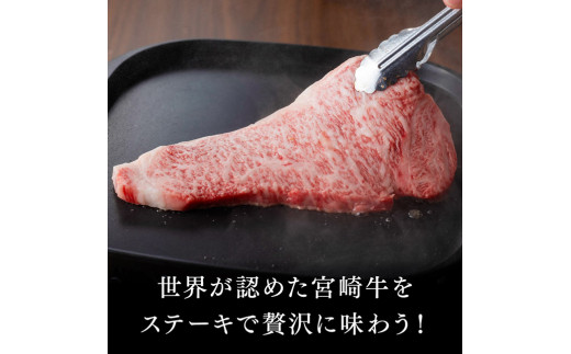 ５等級！ 宮崎牛 サーロインステーキ 400g 4大会連続日本一 ミヤチク 牛 肉 牛肉 国産 九州産 宮崎県産 黒毛和牛 和牛 サーロイン ステーキ 