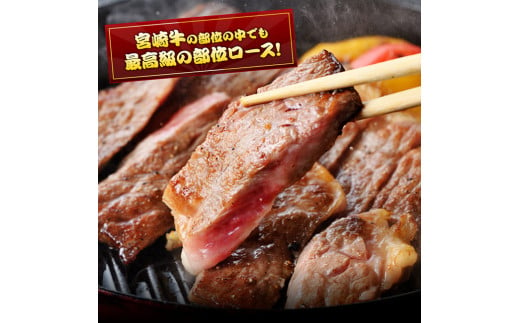 ５等級！宮崎牛ロースステーキ500g 肉 牛 牛肉 国産 黒毛和牛 