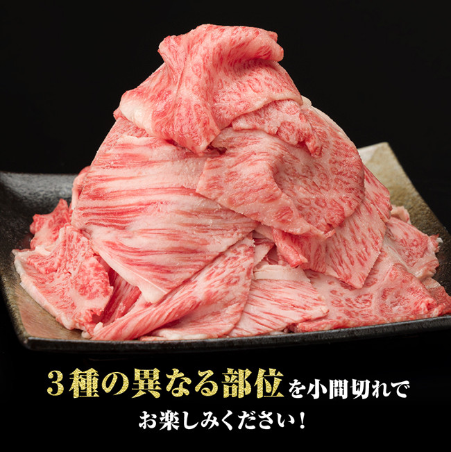 ※数量限定※【川南町産】宮崎牛こま切れ1,000g【選べる発送月　牛肉 宮崎県産 九州産 牛 A5 5等級 肉】