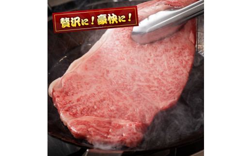 《数量限定》宮崎牛ロースステーキ1枚 (250g)【 肉 牛肉 宮崎県産 黒毛和牛ミヤチク】