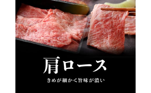 宮崎牛 焼肉セット 400g 4大会連続日本一 肉 牛肉 国産 黒毛和牛 肉質等級4等級以上 4等級 5等級 ミヤチク カルビ ウデ モモ カタロース BBQ バーベキュー 