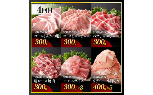 【訳あり定期便】宮崎県産豚肉 お楽しみセット6ヶ月定期便【 ロース とんかつ 豚バラ しゃぶしゃぶ 生姜焼き 小間切れ 豚 肉 豚肉 ミヤチク 全6回 】