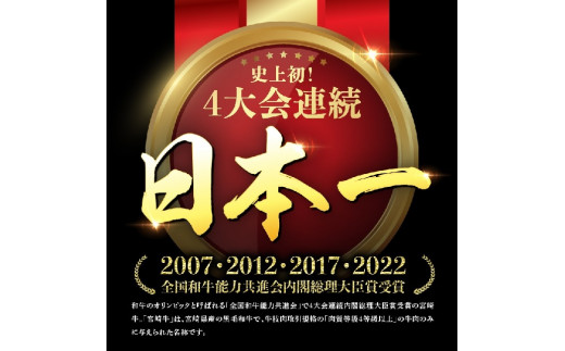 【定期便】宮崎牛３ヶ月定期便Ｂ‐２【 4大会連続日本一 国産 九州産 肉 牛 宮崎県産 牛肉 黒毛和牛 ミヤチク 全3回 】