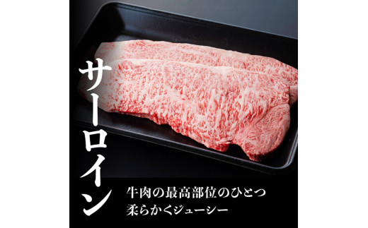 ５等級！ 宮崎牛 サーロインステーキ 400g 4大会連続日本一 ミヤチク 牛 肉 牛肉 国産 九州産 宮崎県産 黒毛和牛 和牛 サーロイン ステーキ 