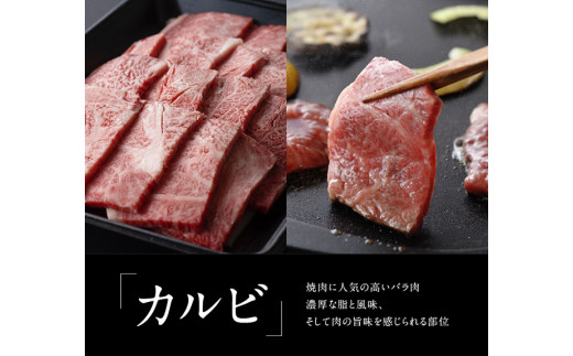 宮崎牛焼肉セット（肩ロース＆バラ）1.3kg 4大会連続日本一 肉 牛肉 国産 黒毛和牛 肉質等級4等級以上 4等級 5等級 ミヤチク カルビ カタロース BBQ バーベキュー 