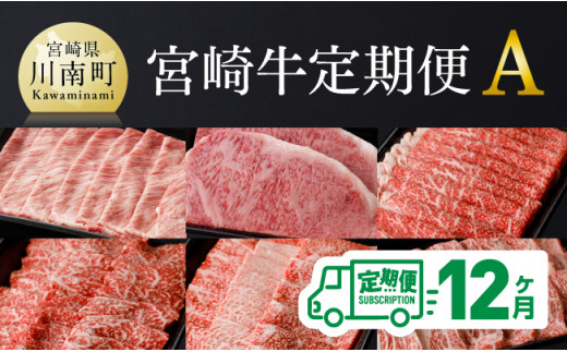 【定期便】宮崎牛12ヶ月定期便A 【 国産牛肉 九州産牛肉 肉 牛 宮崎県産 牛肉 黒毛和牛 ミヤチク牛肉 全12回 牛肉 】