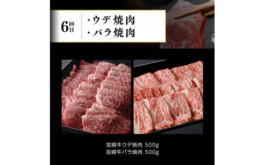 【定期便】宮崎牛と宮崎県産豚６ヶ月定期便Ｃ 【 4大会連続日本一 肉 牛肉 豚肉 国産 黒毛和牛 肉質等級4等級以上 5等級 ミヤチク ステーキ 焼肉 しゃぶしゃぶ 全6回 】