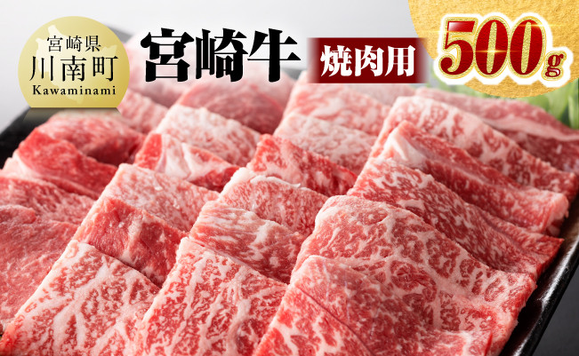 宮崎牛 焼肉 500g 【肉 牛肉 国産 宮崎県産 黒毛和牛 ミヤチク BBQ バーベキュー 送料無料 】