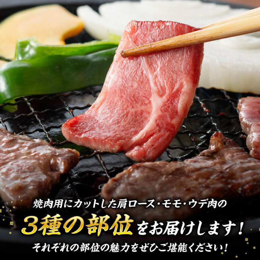 宮崎牛 焼肉 3種 計1.1kg【肉 牛肉 国産 国産牛 黒毛和牛 宮崎牛 A4 A5 4等級 5等級 ミヤチク カタロース モモ ウデ 焼肉 セット BBQ バーベキュー 食べ比べ】