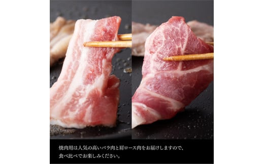 宮崎県産豚肉バラエティ３種セット 肉 豚肉 ぶた 国産 ミヤチク とんかつ やきにく カタロース 