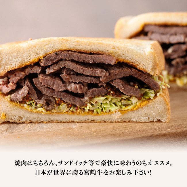 宮崎牛 焼肉 500g 【肉 牛肉 国産 宮崎県産 黒毛和牛 ミヤチク BBQ バーベキュー 送料無料 】