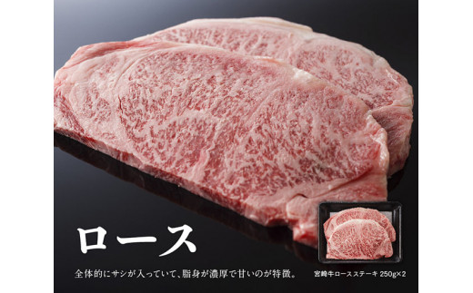 豪華！宮崎牛 満喫セット 3.3kg以上 4大会連続日本一 肉 牛肉 国産 黒毛和牛 肉質等級4等級以上 4等級 5等級 ミヤチク ステーキ スライス 焼肉 すき焼き 煮込み 