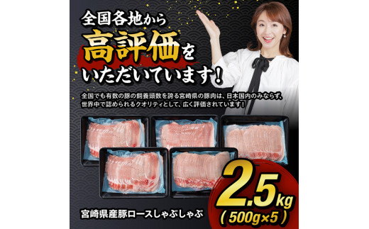 ※期間限定※宮崎県産豚ロースしゃぶしゃぶ 500g×5【 豚肉 豚 肉 国産 うす切り スライス 】