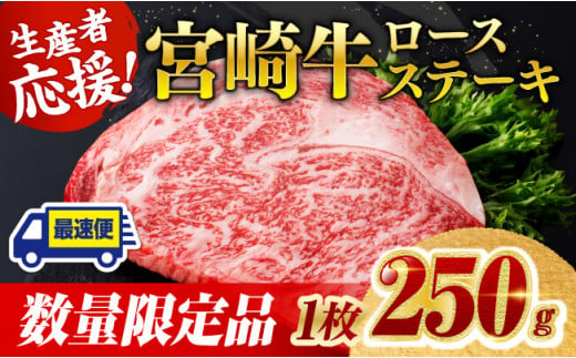 《数量限定》宮崎牛ロースステーキ1枚 (250g)【 肉 牛肉 宮崎県産 黒毛和牛ミヤチク】