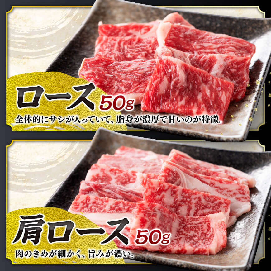 宮崎県産 黒毛和牛と 豚肉 焼肉 10種【4大会連続日本一 肉 牛肉 国産 国産牛 黒毛和牛 豚肉 ぶた肉 ミヤチク カタロース バラ モモ ウデ ロース 焼肉 セット】