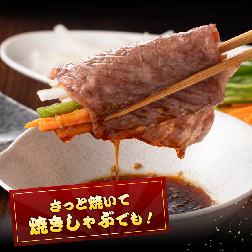 【令和7年9月発送分】宮崎牛 赤身・霜降りすきしゃぶ2種600g+粗挽きウインナー 【 肉 牛肉 ウデ モモ すき焼き しゃぶしゃぶ 焼きしゃぶ 黒毛和牛 ウインナー 国産 九州産 】